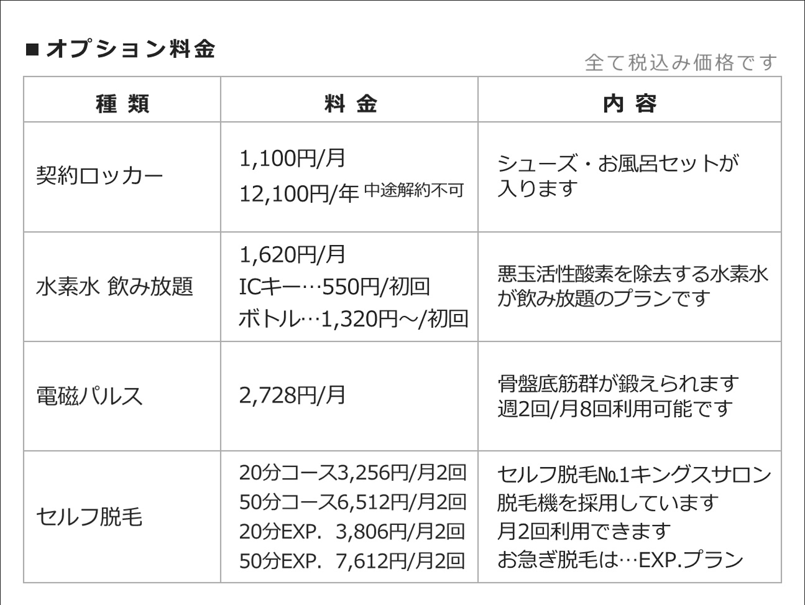 ダイセンスポーツ小牧：オプション料金