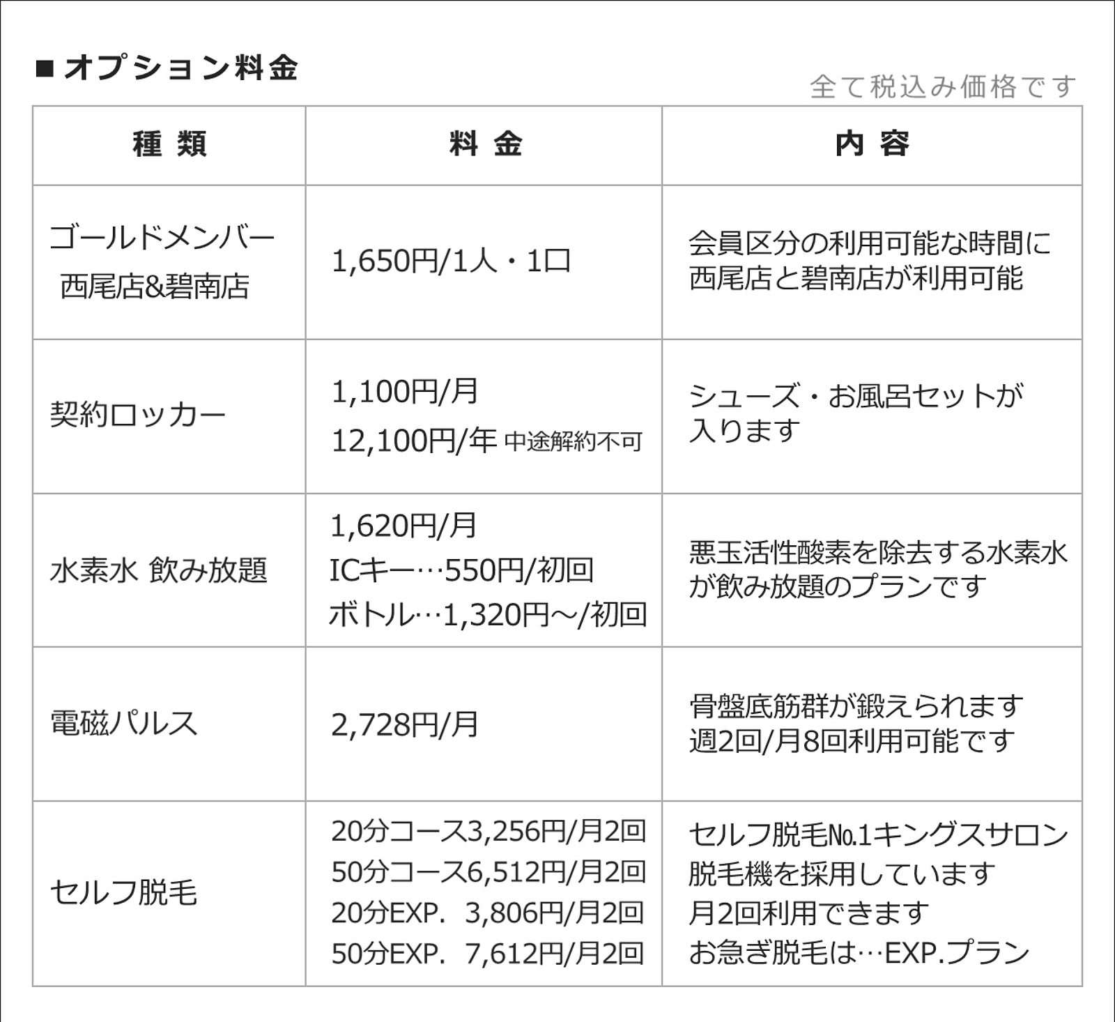 ダイセンスポーツ西尾：オプション料金